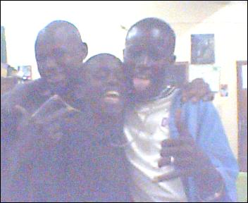 3 fous